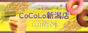 cocolo-niigata