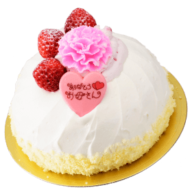 苺の生デコレーションケーキ